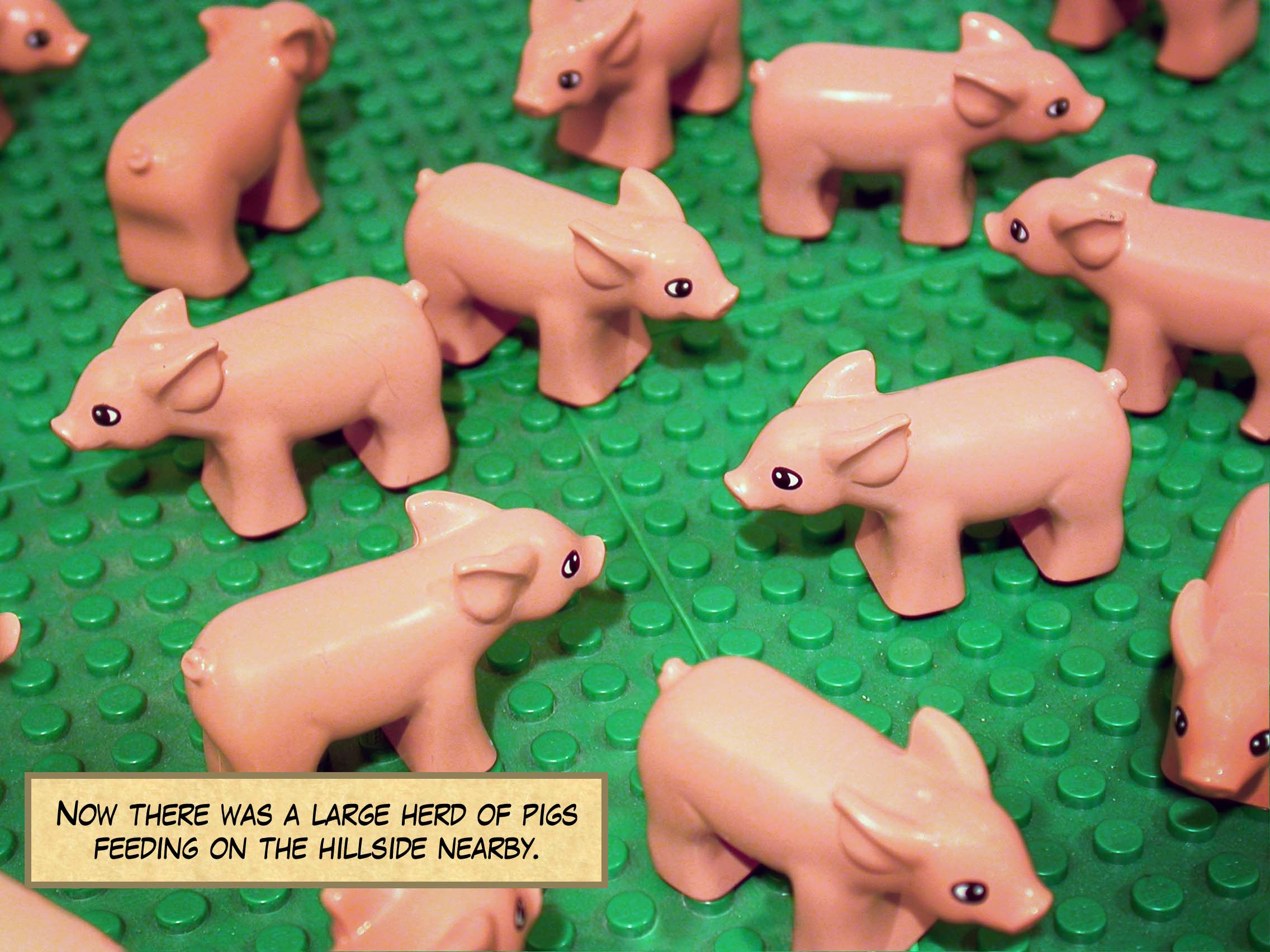 Now there was a large herd of pigs feeding there on the hillside nearby.<br>