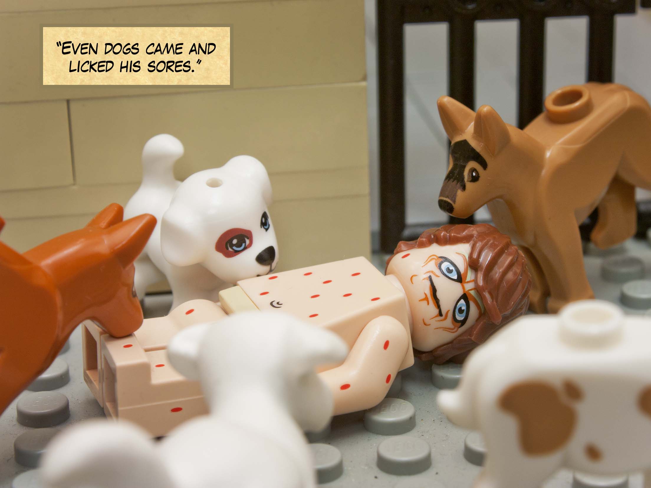 'Even dogs came and licked his sores.'<br>