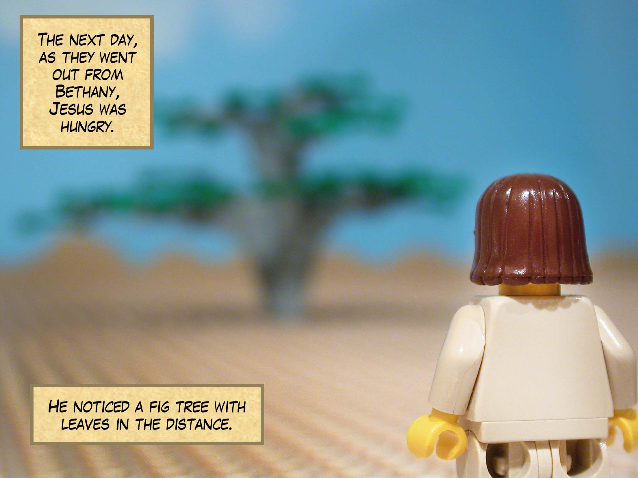 The next day, as they went out from Bethany, Jesus was hungry. He noticed a fig tree with leaves in the distance.