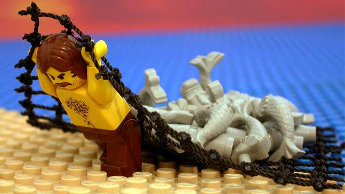 The Final Appearance