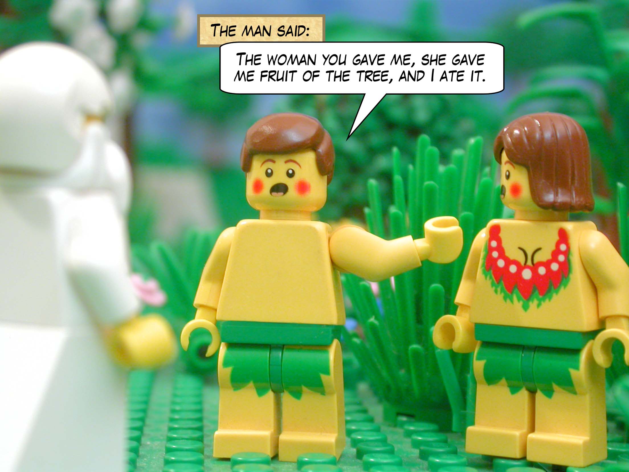 The man said, "The woman you gave me, she gave me fruit of the tree, and I ate it."