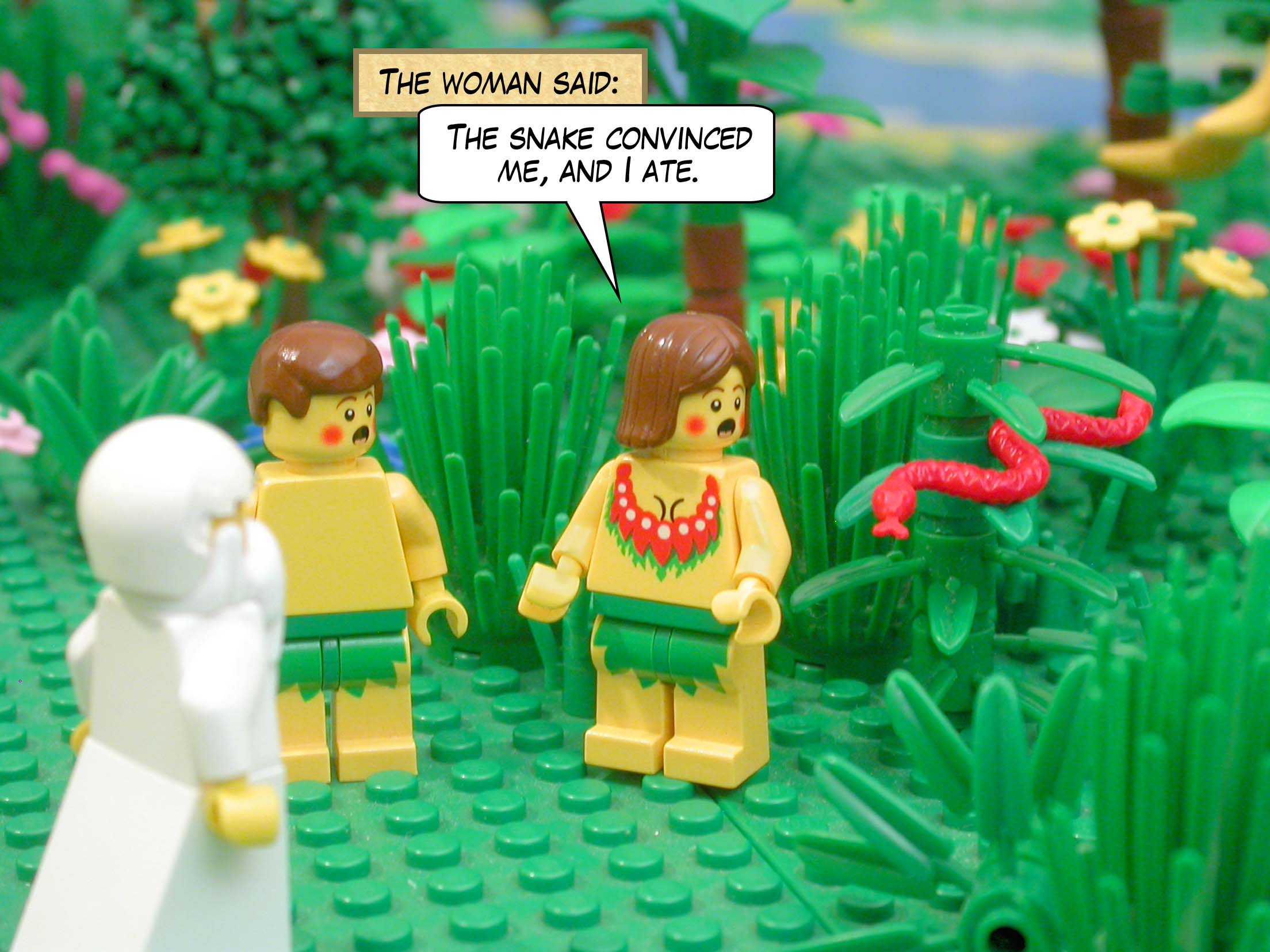 The woman said, "The snake convinced me, and I ate."