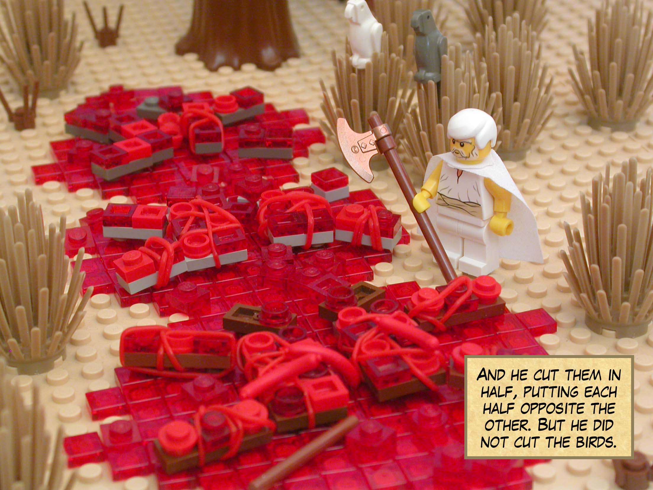 And he cut them in half, putting each half opposite the other. But he did not cut the birds.