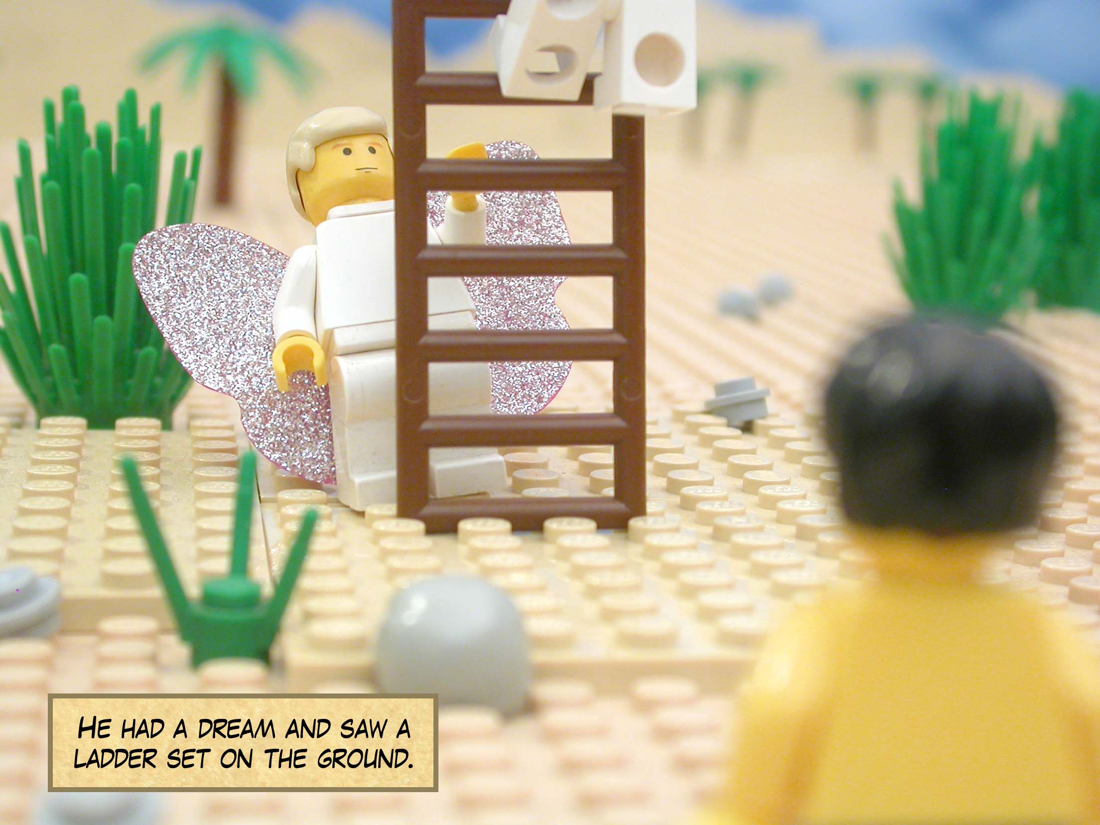He had a dream and saw a ladder set on the ground.