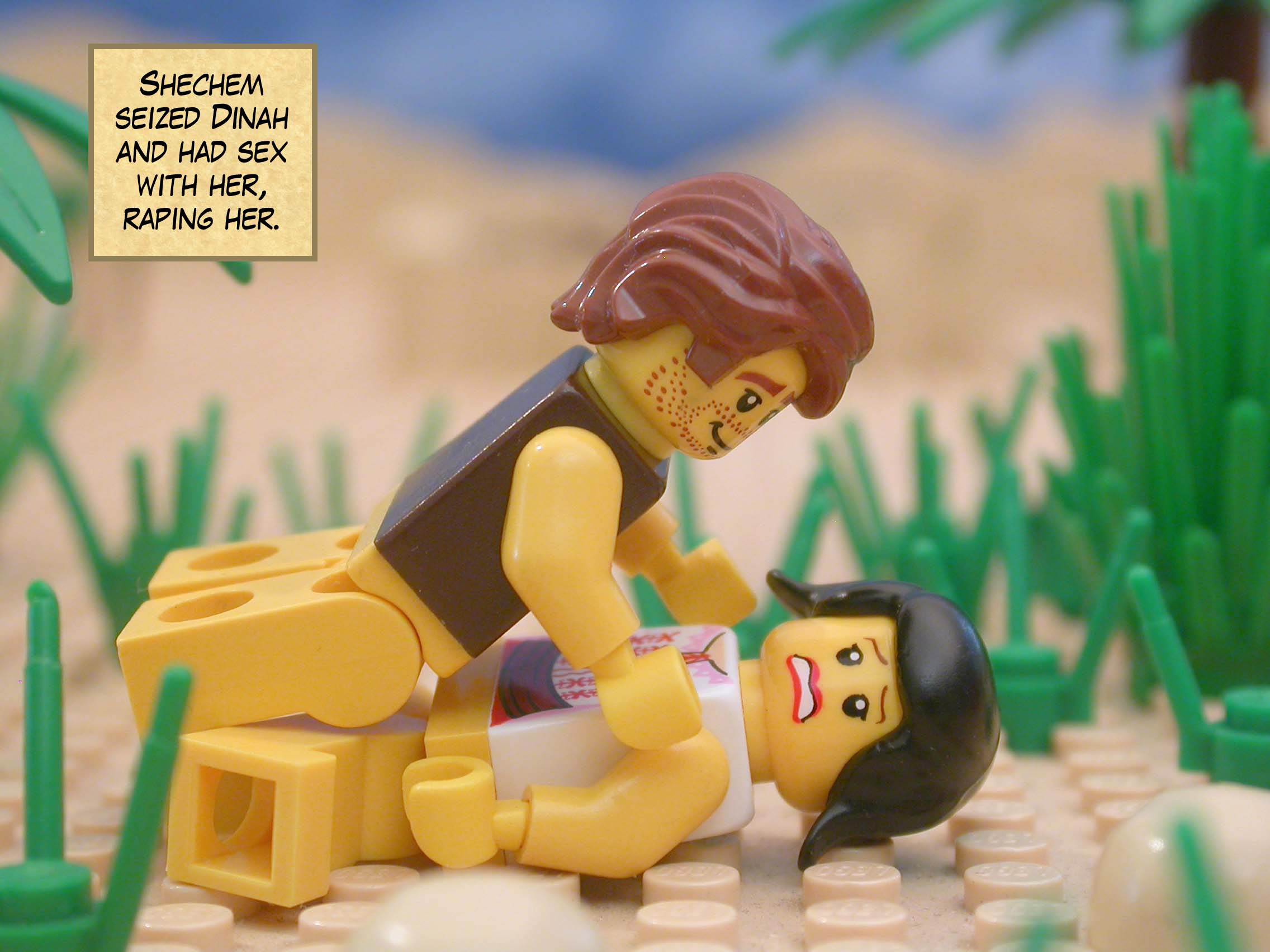 Shechem seized Dinah and had sex with her, raping her.