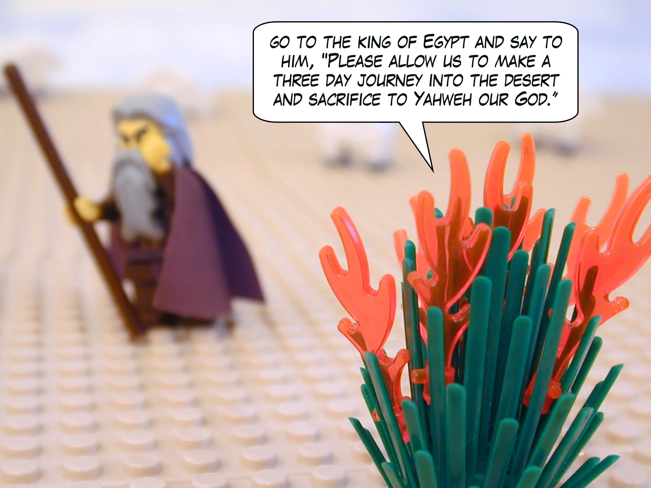 Go to the king of Egypt and say to him, "Please allow us to make a three day journey into the desert and sacrifice to Yahweh our God."