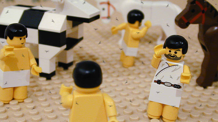 The Plague of Mosquitos