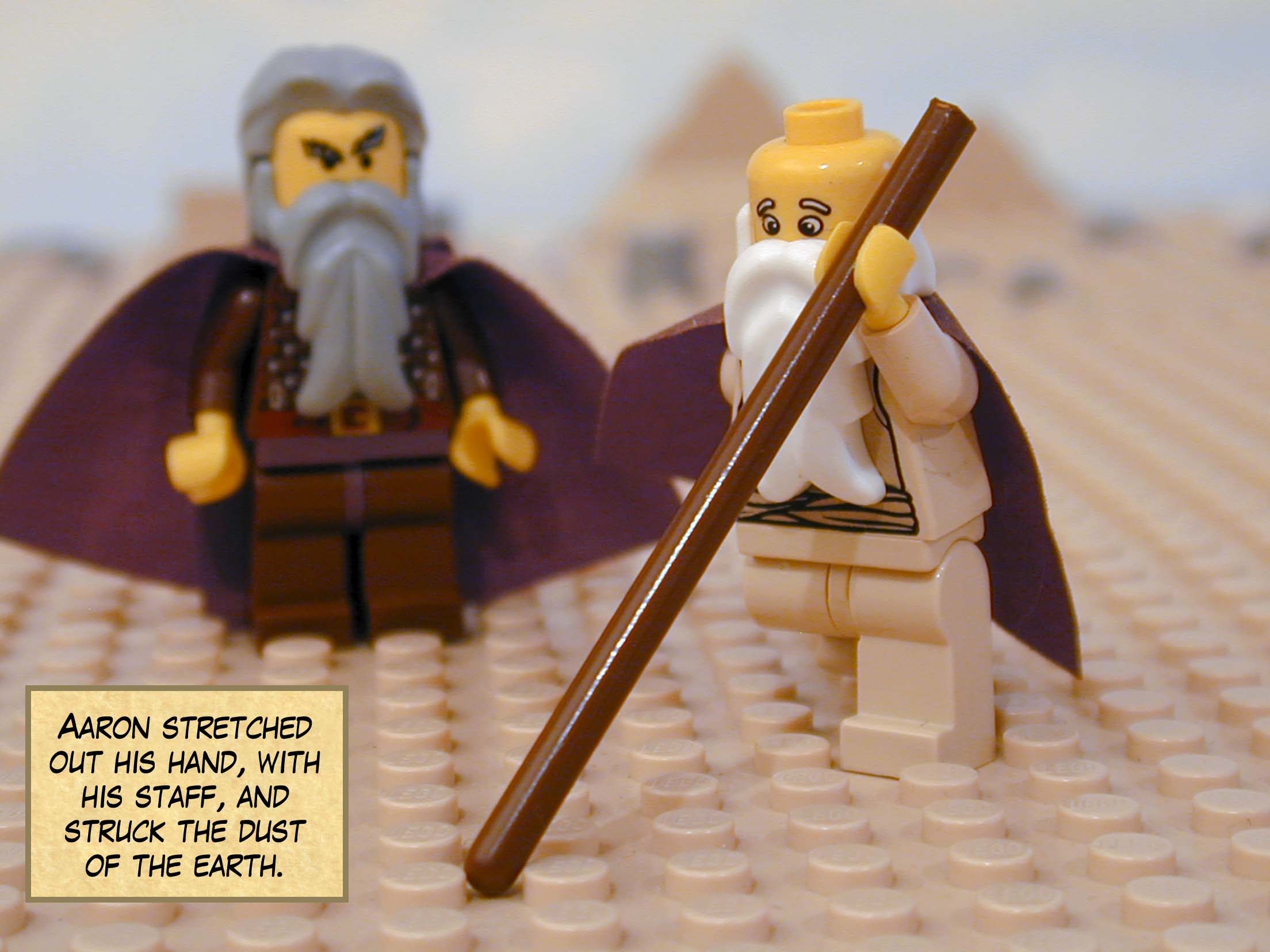 Aaron stretched out his hand, with his staff, and struck the dust of the earth.