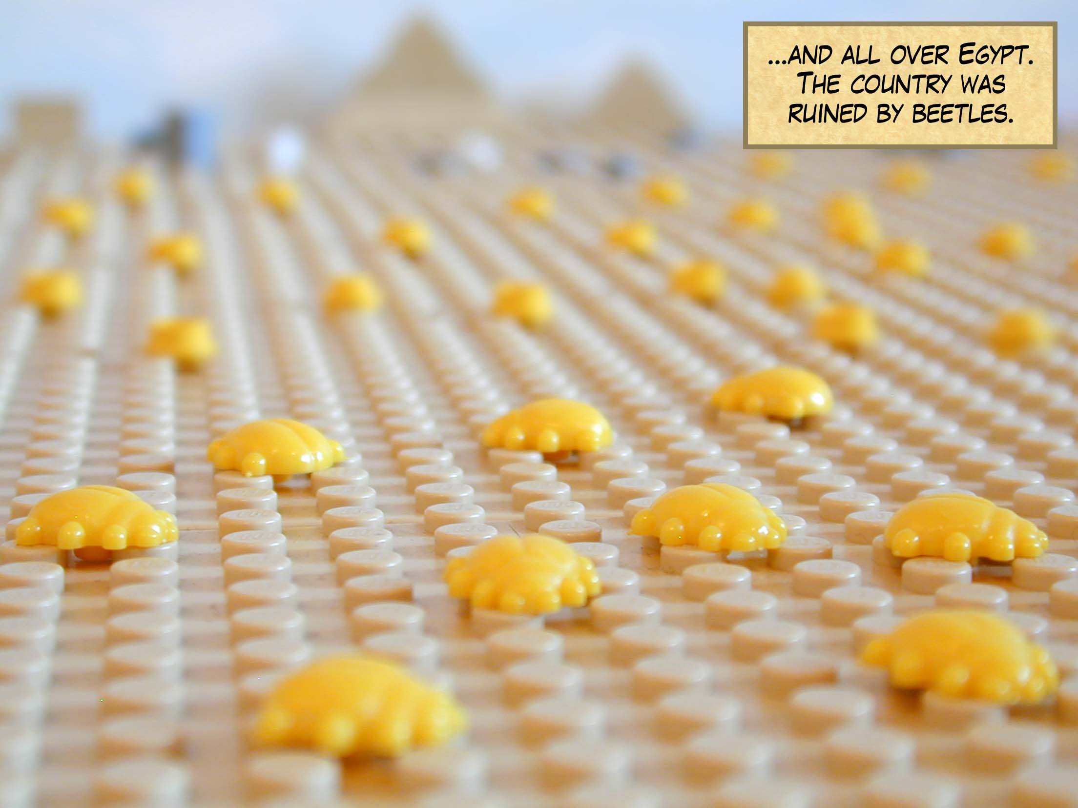 ...and all over Egypt. The country was ruined by beetles.