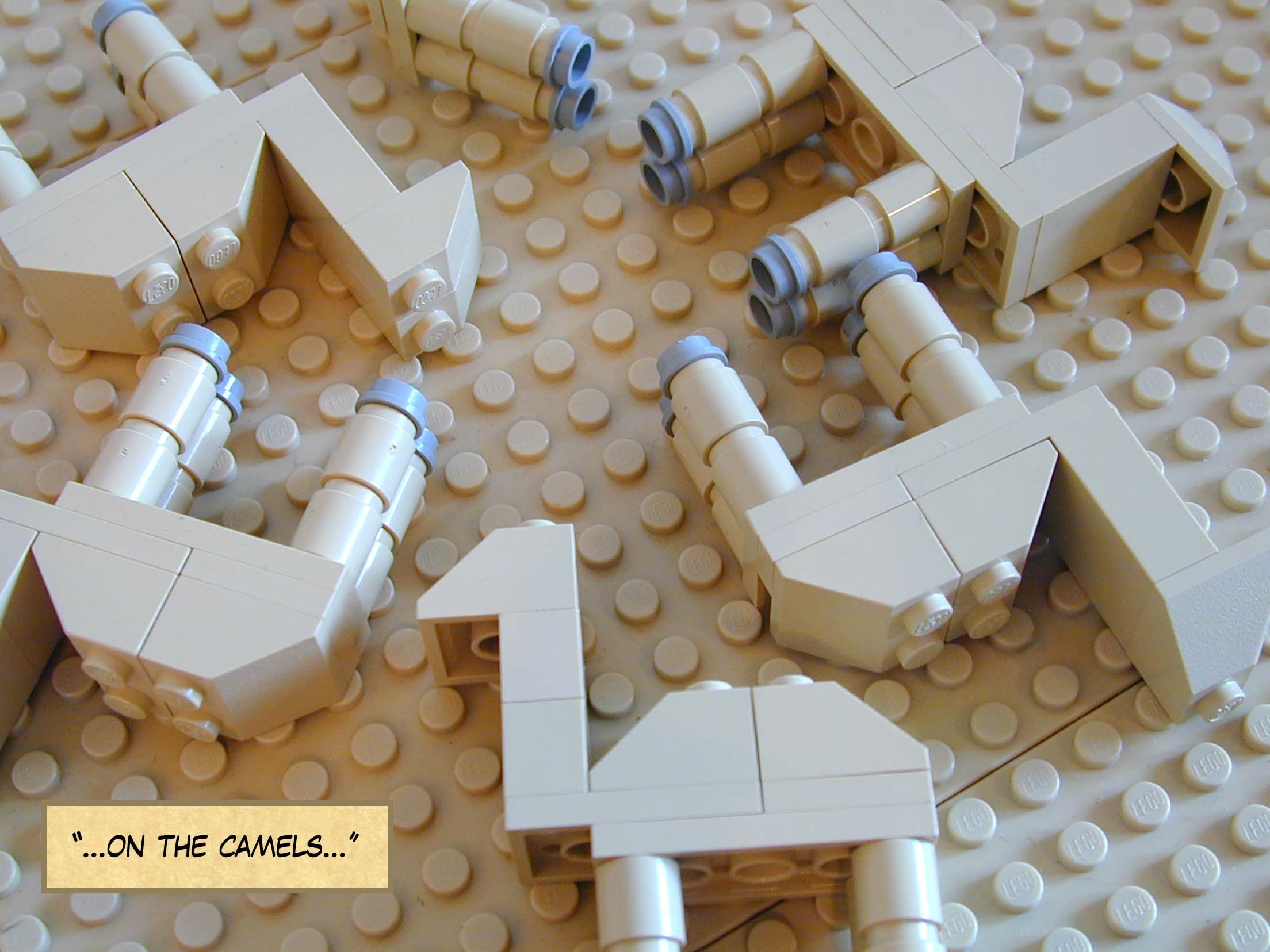 ...on the camels...