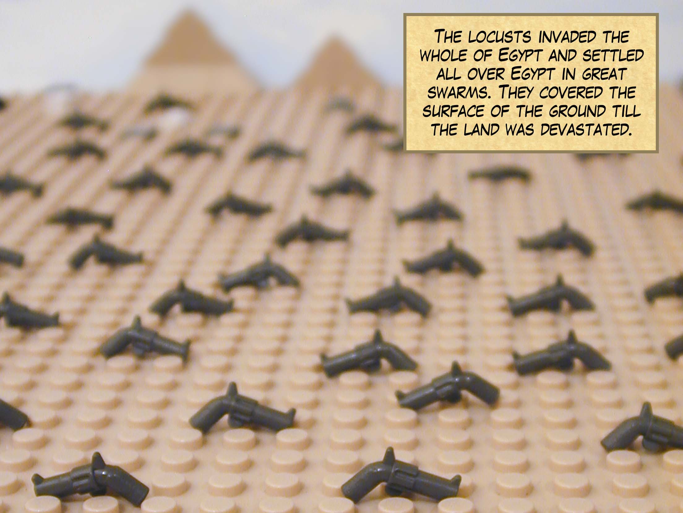 The locusts invaded the whole of Egypt and settled all over Egypt in great swarms. They covered the surface of the ground till the land was devastated.