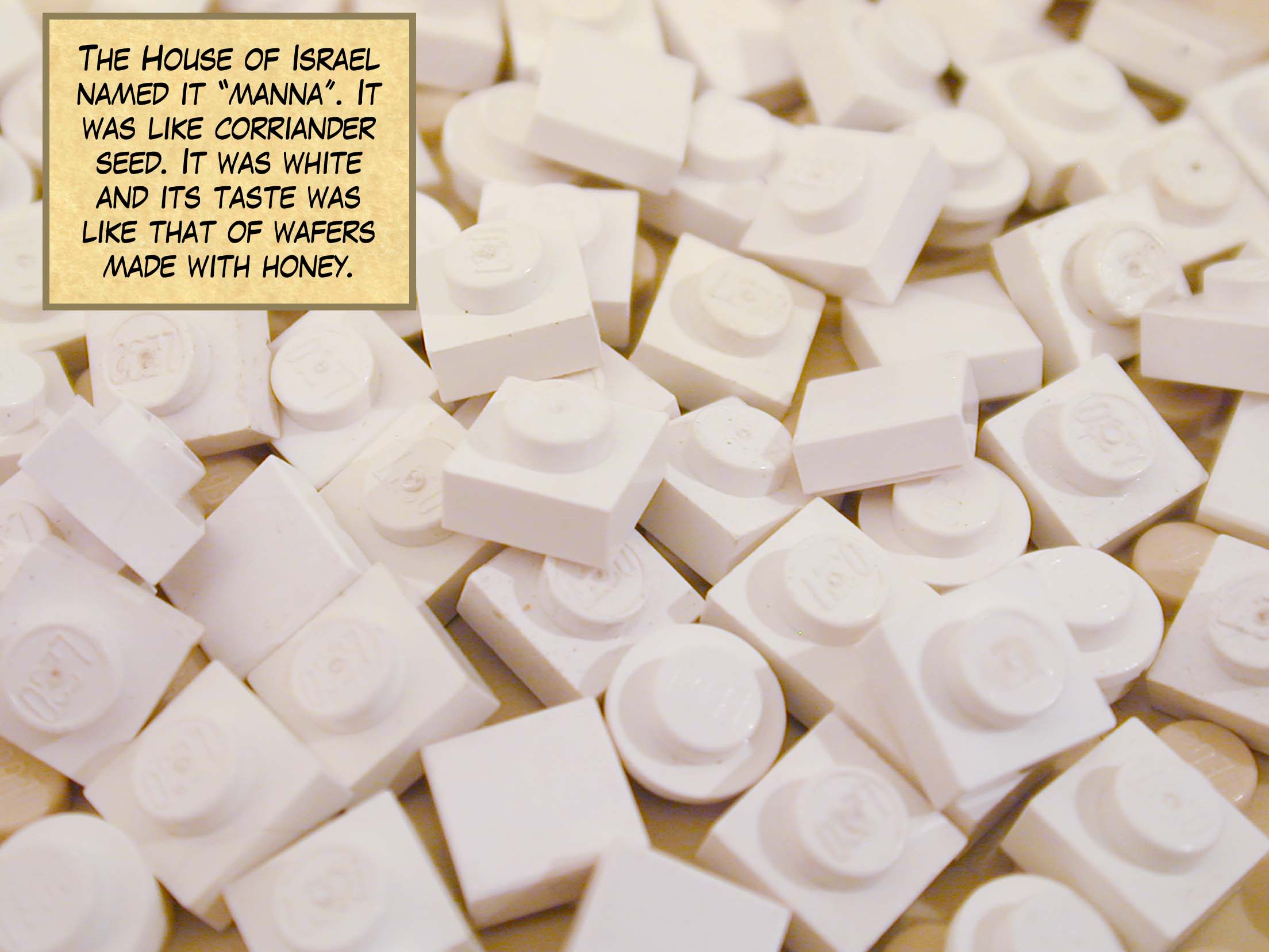 The House of Israel named it 'manna'. It was like corriander seed. It was white and its taste was like that of wafers made with honey.