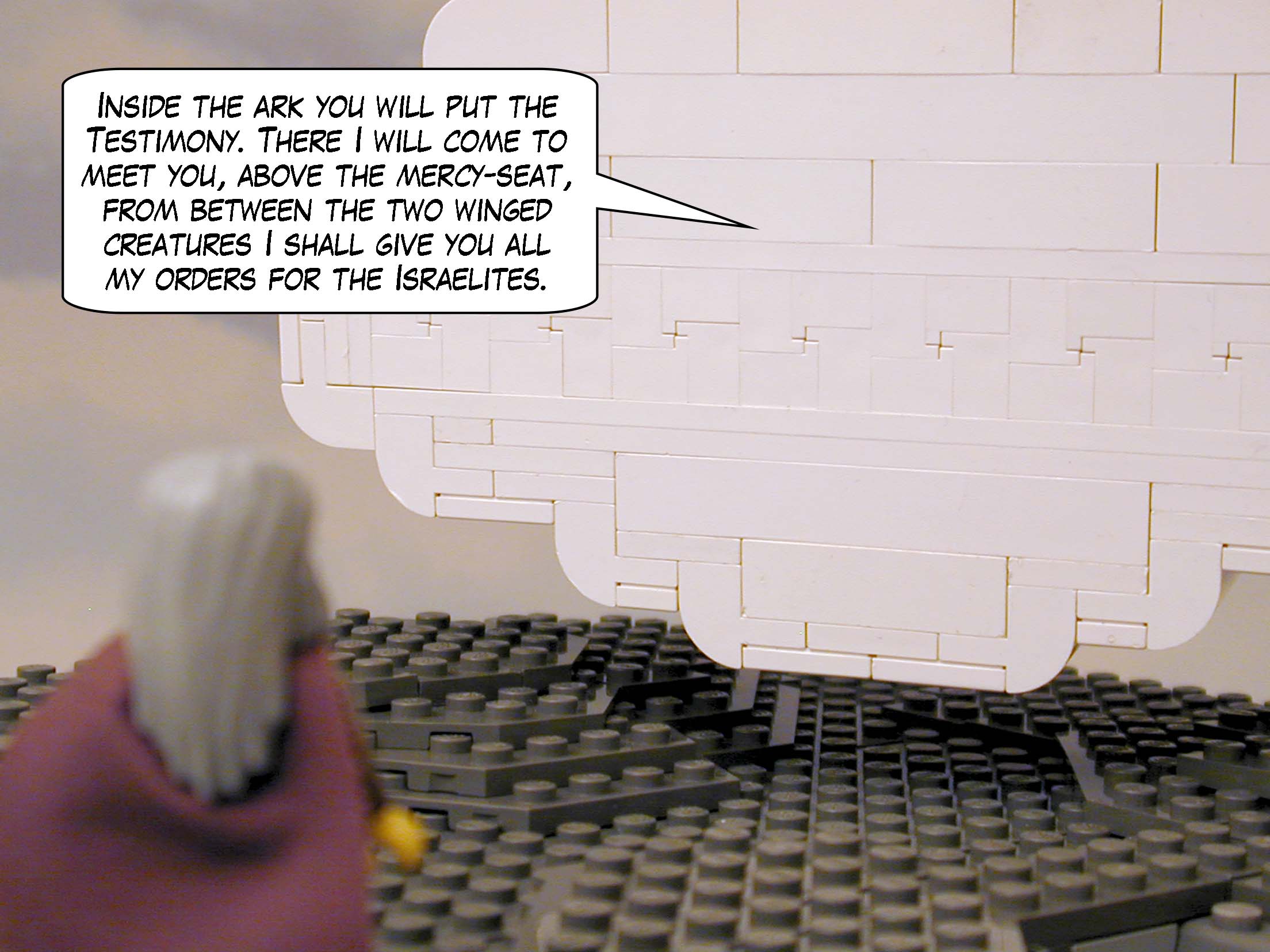 "Inside the ark you will put the Testimony. There I will come to meet you, above the mercy-seat, from between the two winged creatures I shall give you all my orders for the Israelites."