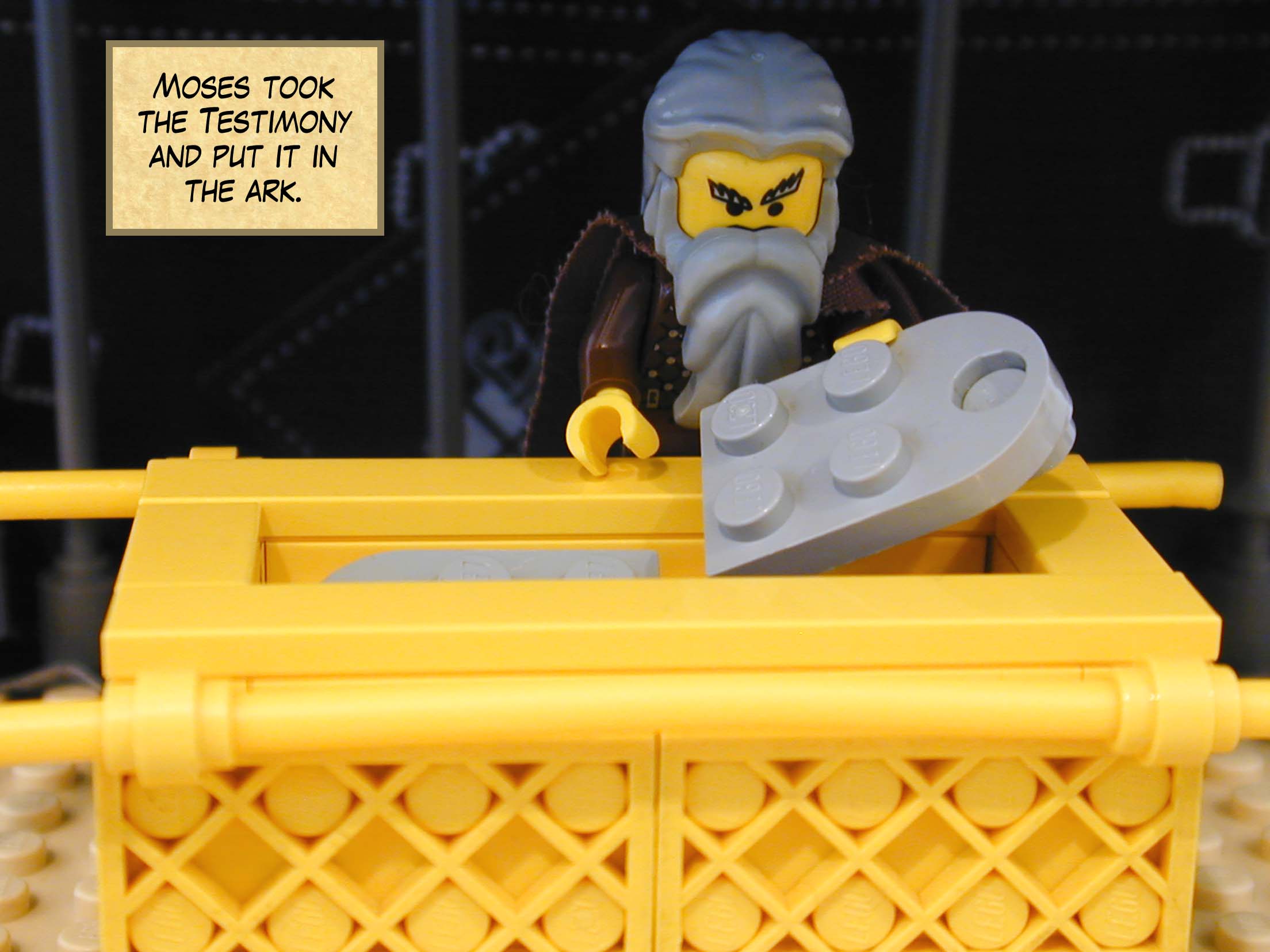 Moses took the Testimony and put it in the ark.