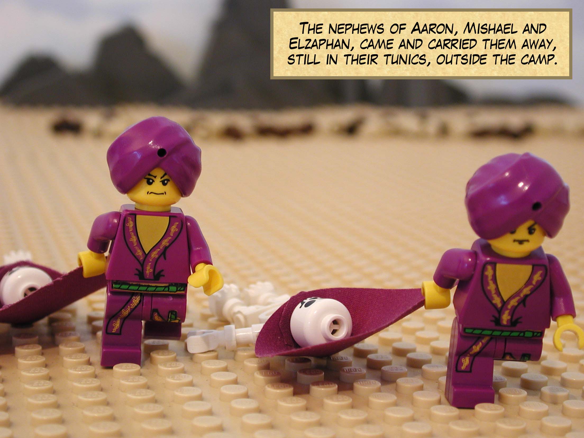 The nephews of Aaron, Mishael and Elzaphan, came and carried them away, still in their tunics, outside the camp.