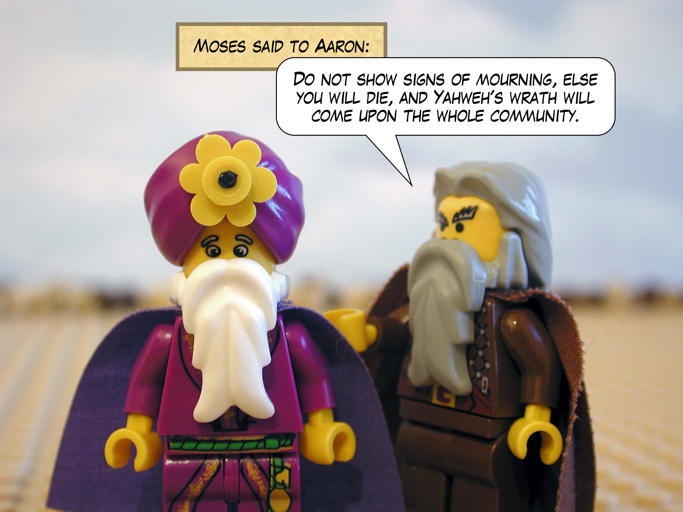 Moses said to Aaron, 'Do not show signs of mourning, else you will die, and Yahweh's wrath will come upon the whole community.' Next story: The Fire of Yahweh