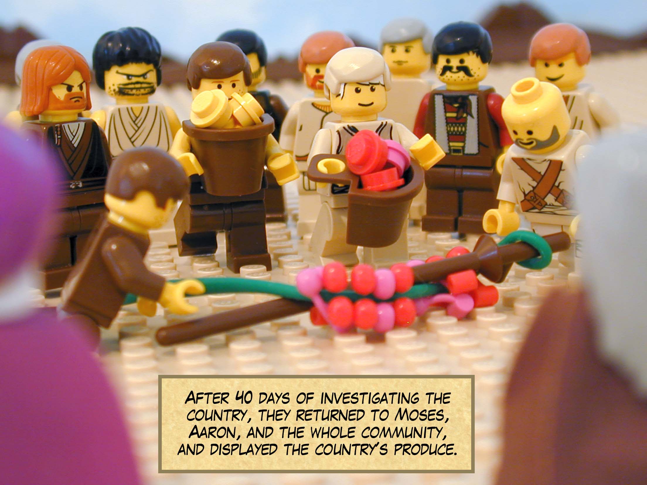 After forty days they returned from investigating the country. Making their way to Moses, Aaron, and the whole community, they displayed the country's produce.