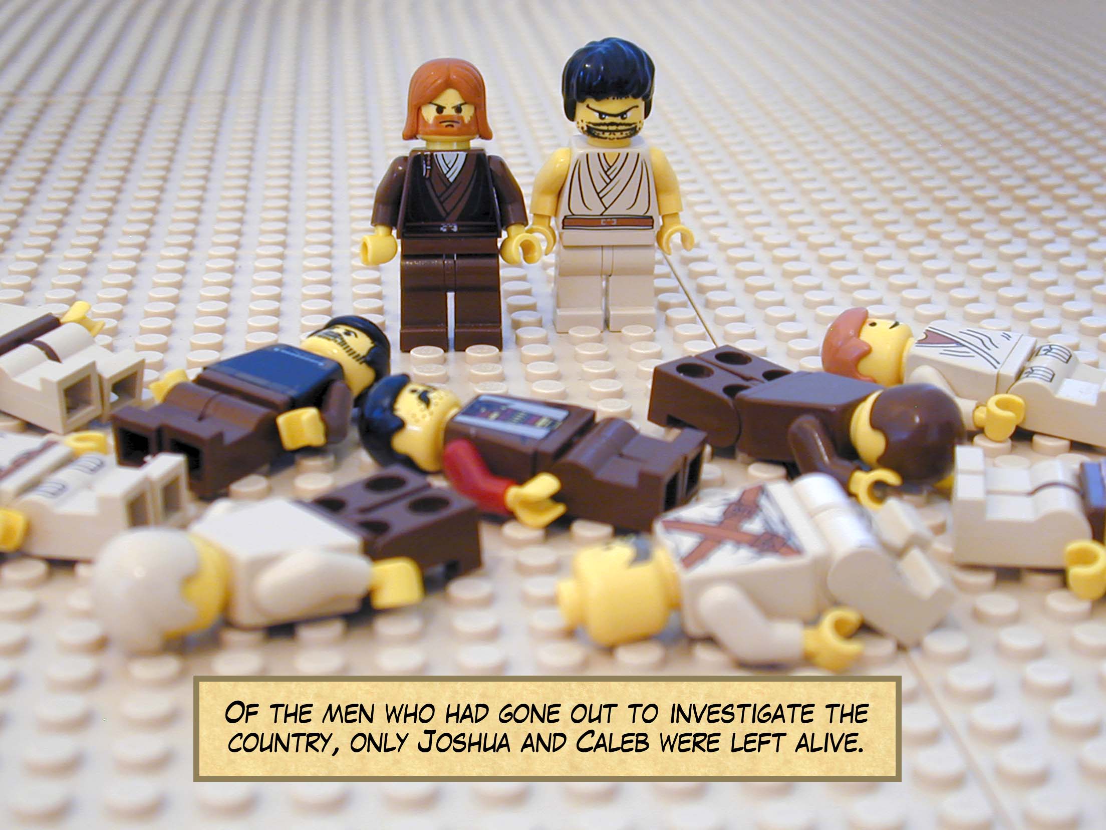 Of the men who had gone out to investigate the country, only Joshua and Caleb were left alive.