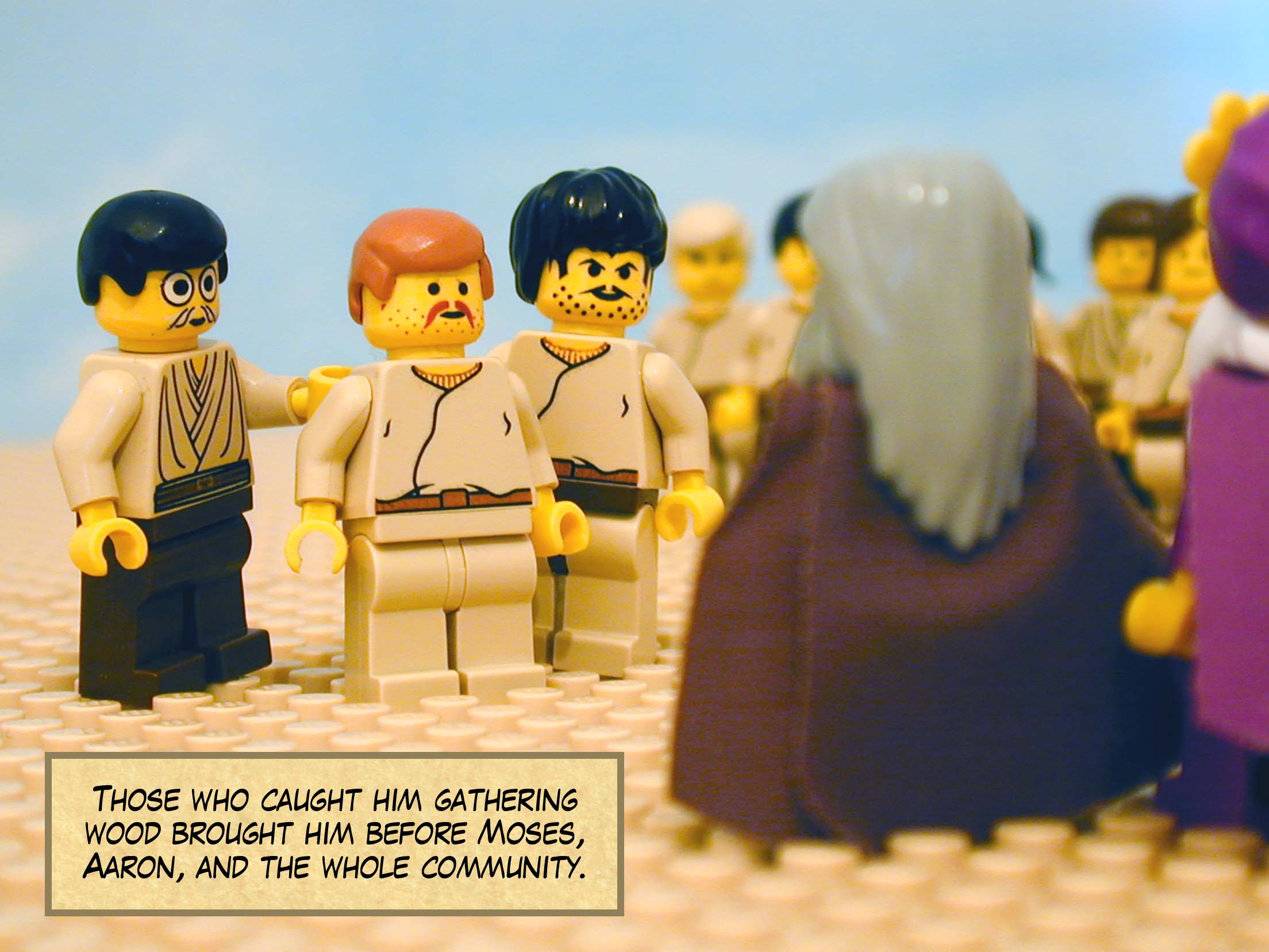 Those who caught him gathering wood brought him before Moses, Aaron, and the whole community.