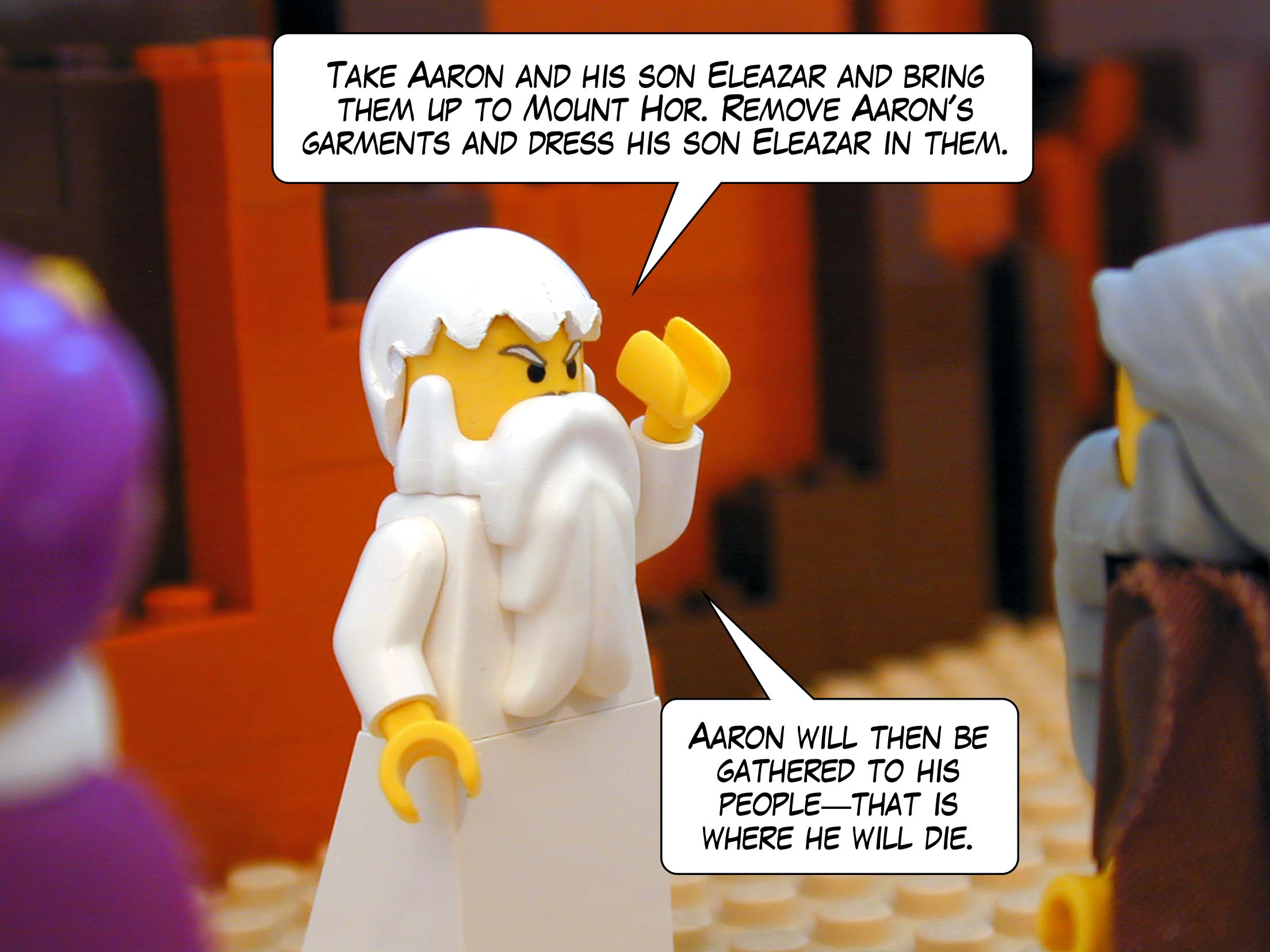 'Take Aaron and his son Eleazar and bring them up to Mount Hor. Remove Aaron's garments and dress his son Eleazar in them. Aaron will then be gathered to his people -- that is where he will die.'