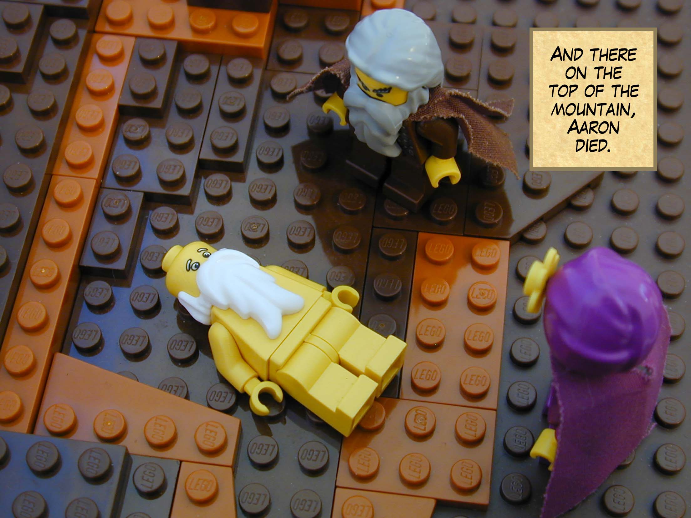 And there on the top of the mountain, Aaron died. Next story: God Sends Snakes