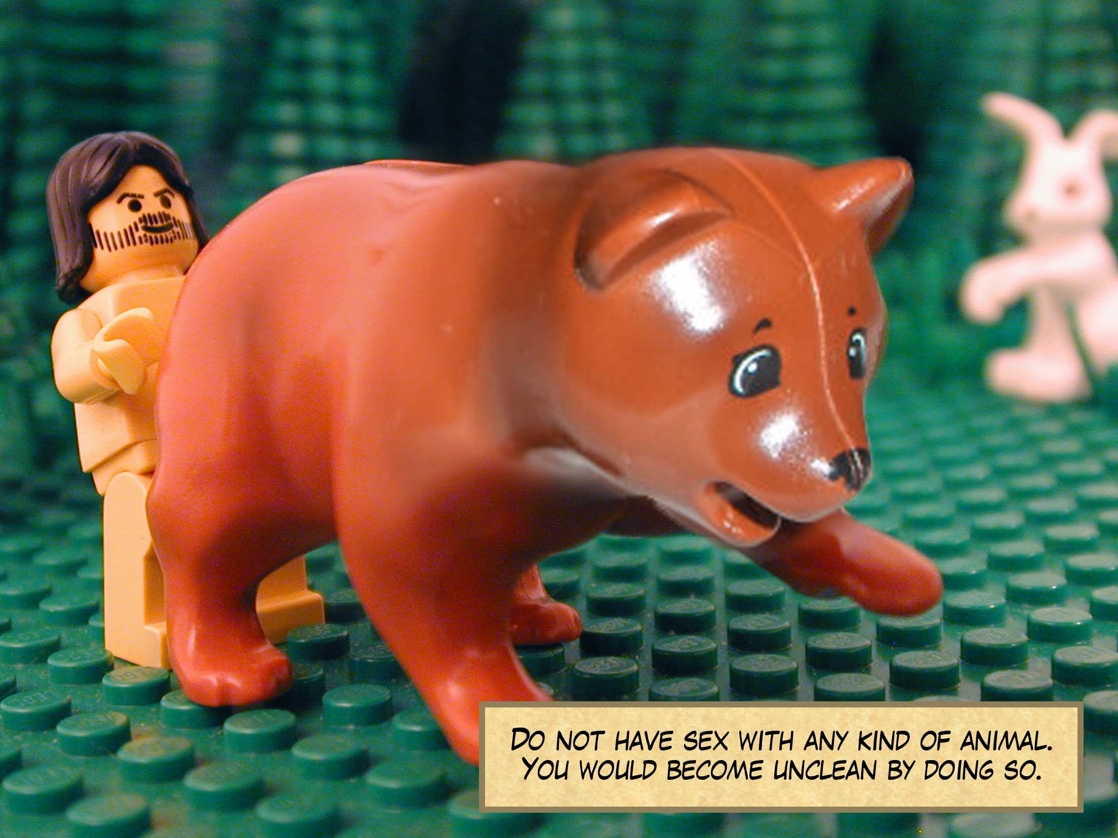 'Do not have sex with any kind of animal. You would become unclean by doing so.'