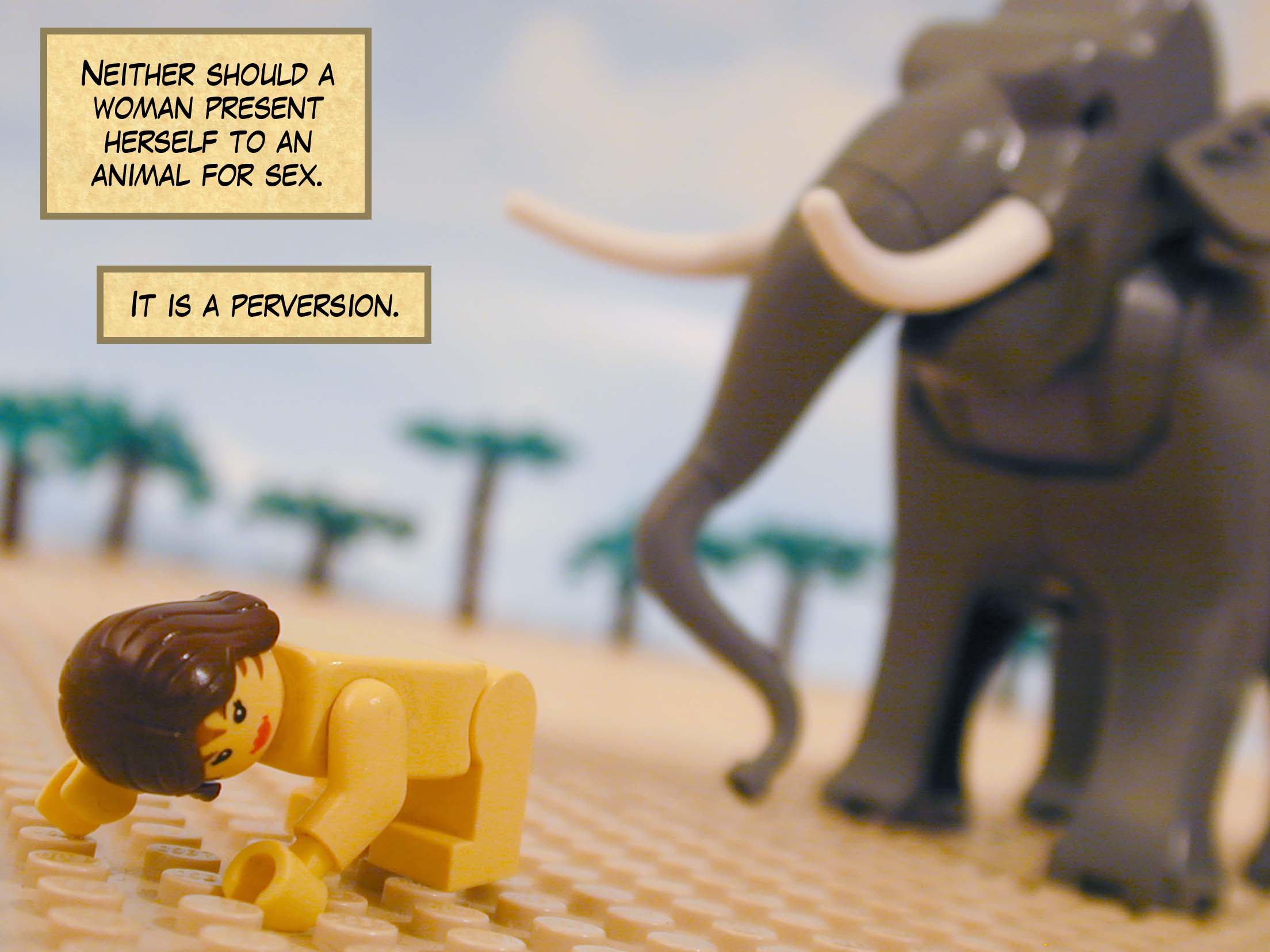 'Neither should a woman present herself to an animal for sex. It is a perversion.'