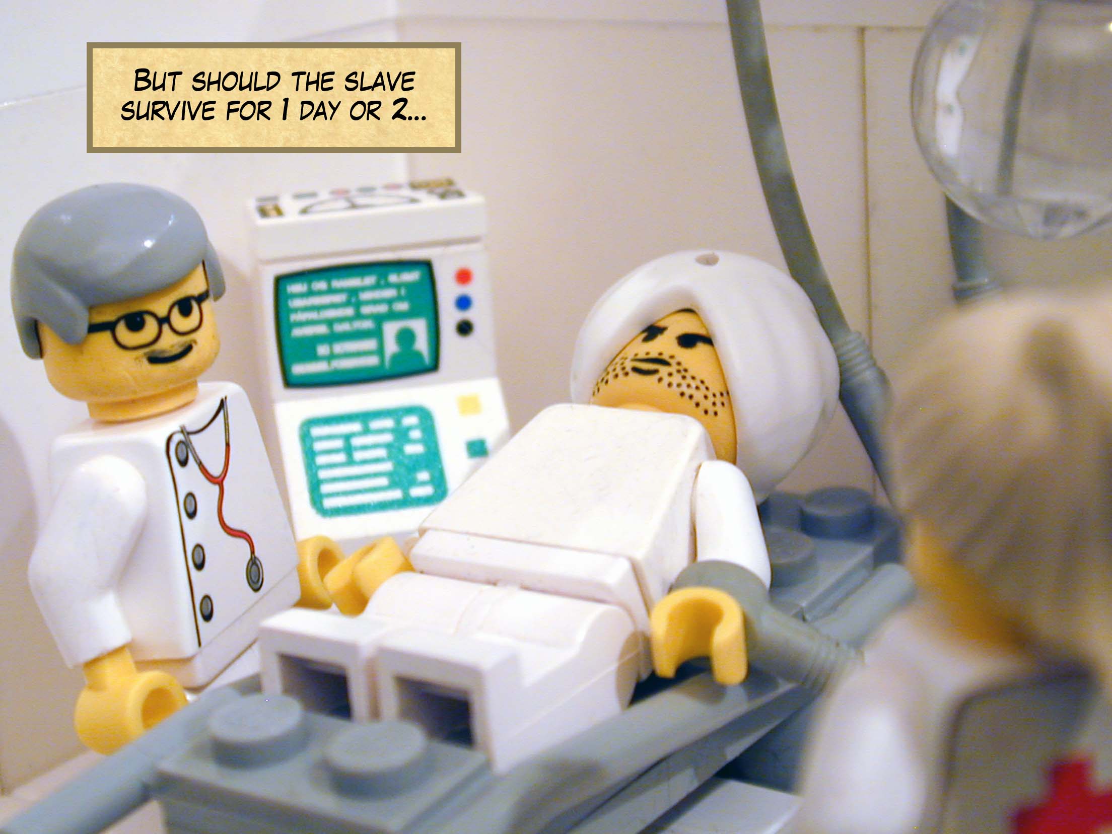 'But should the slave survive for one day or two...'