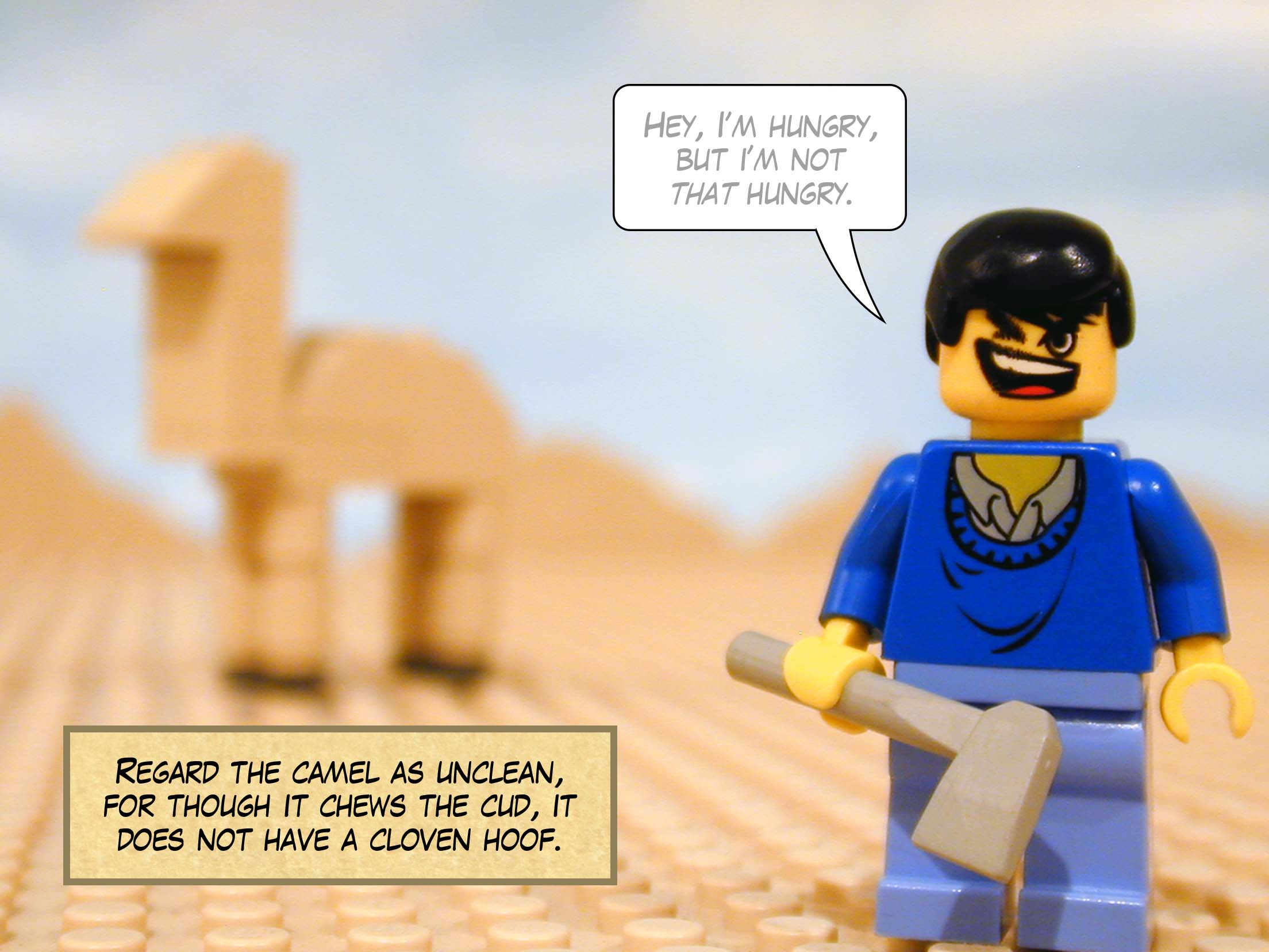 'Regard the camel as unclean, for though it chews the cud, it does not have a cloven hoof.'