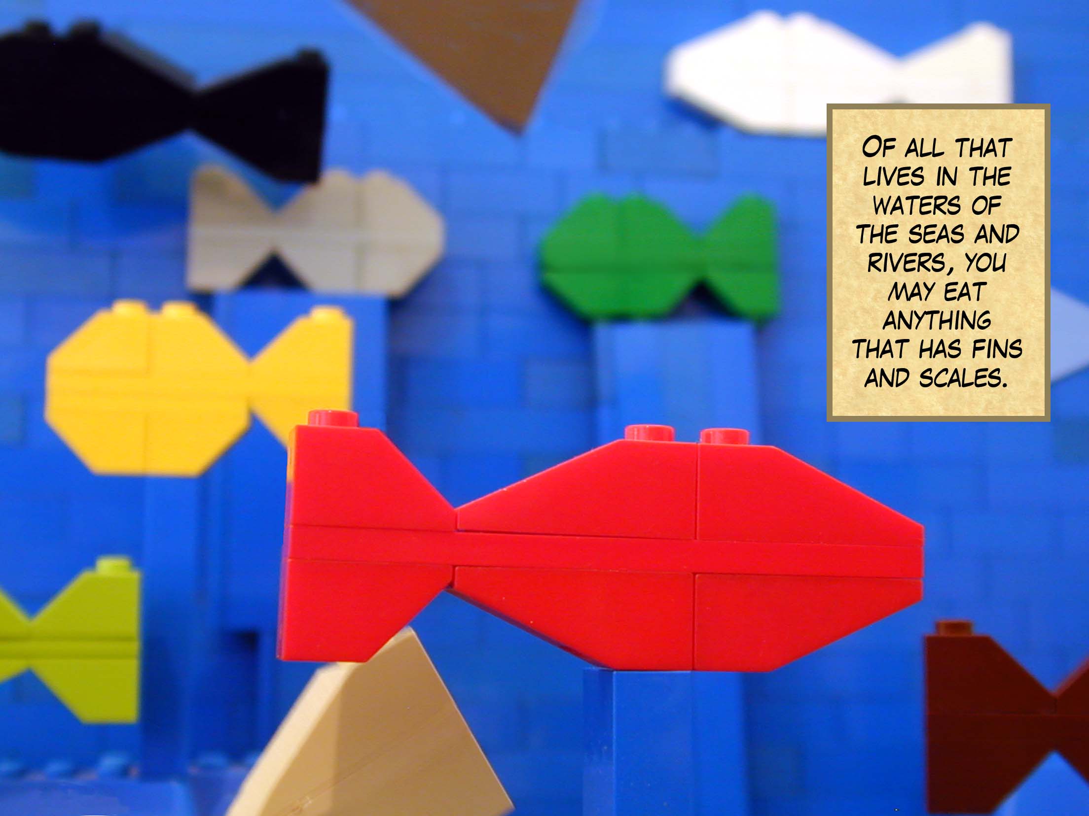 'Of all that lives in the waters of the seas and rivers, you may eat anything that has fins and scales.'