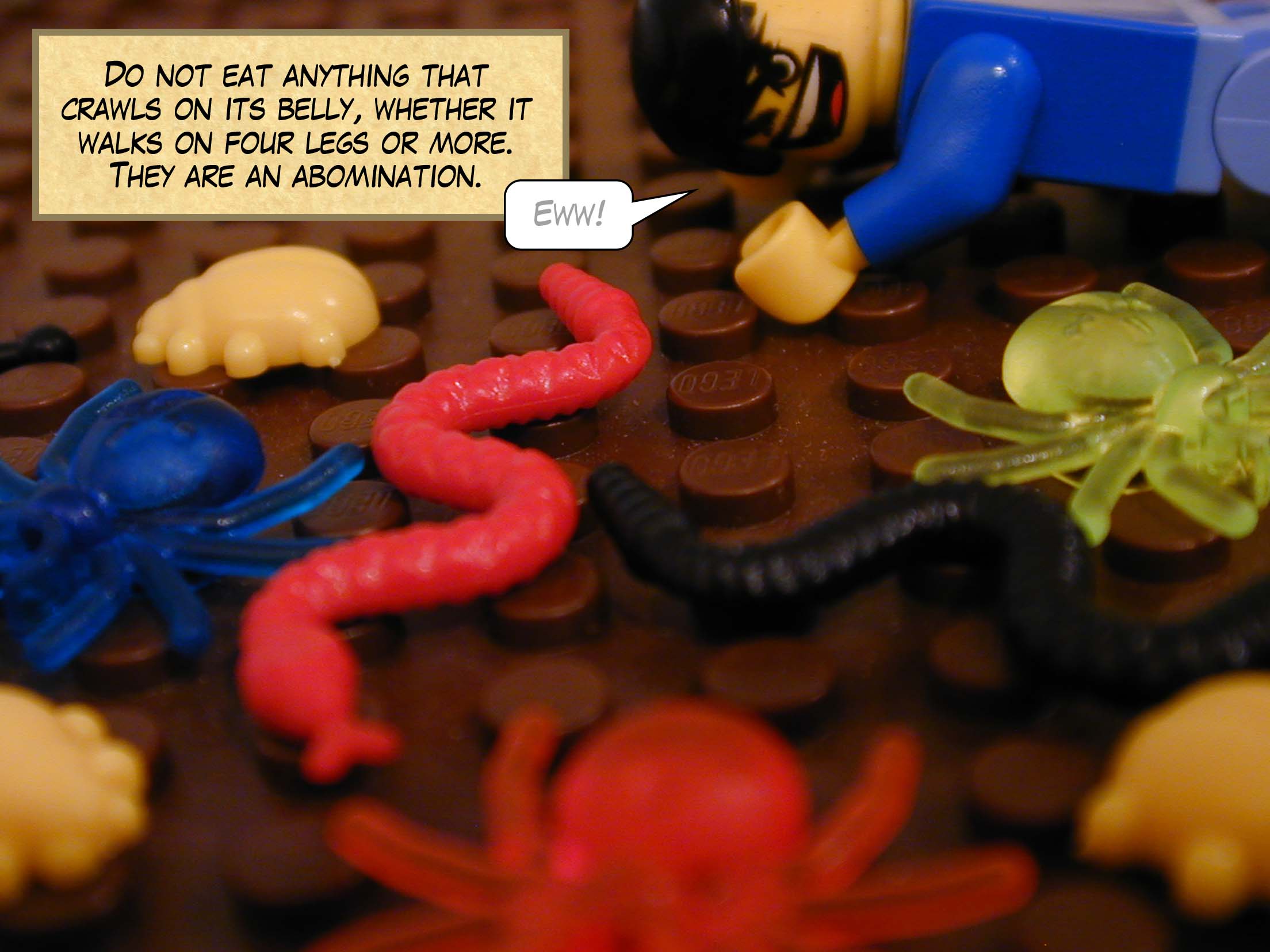 'Do not eat anything that crawls on its belly, whether it walks on four legs or more. They are an abomination.'