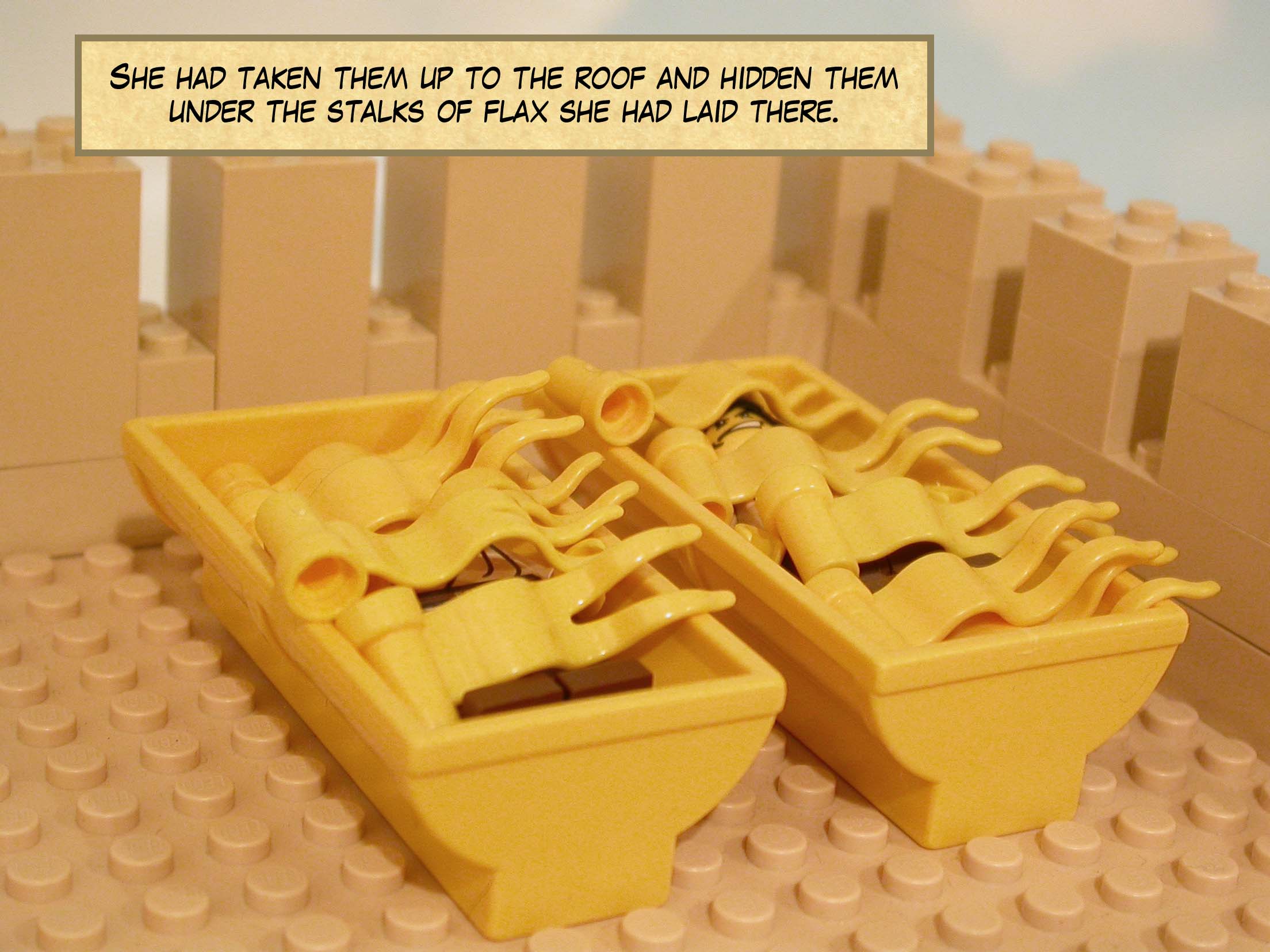 She had taken them up to the roof and hidden them under the stalks of flax she had laid there.