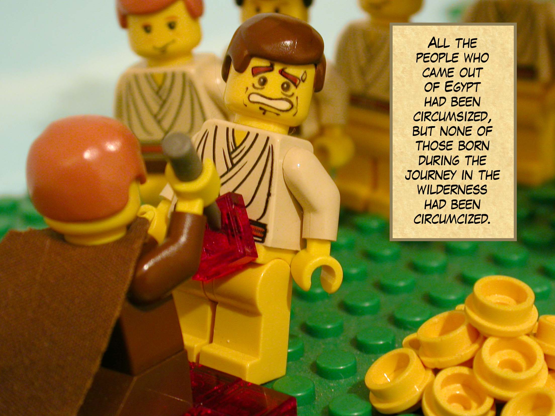 All the people who came out of Egypt had been circumsized, but none of those born during the journey in the wilderness had been circumcized.
