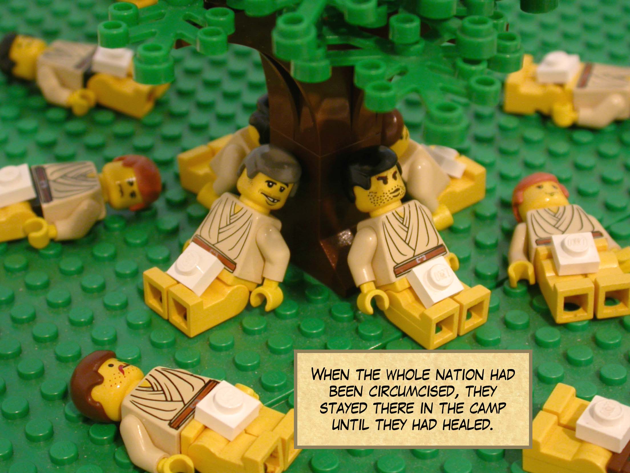 When the whole nation had been circumcised, they stayed there in the camp until they had healed.