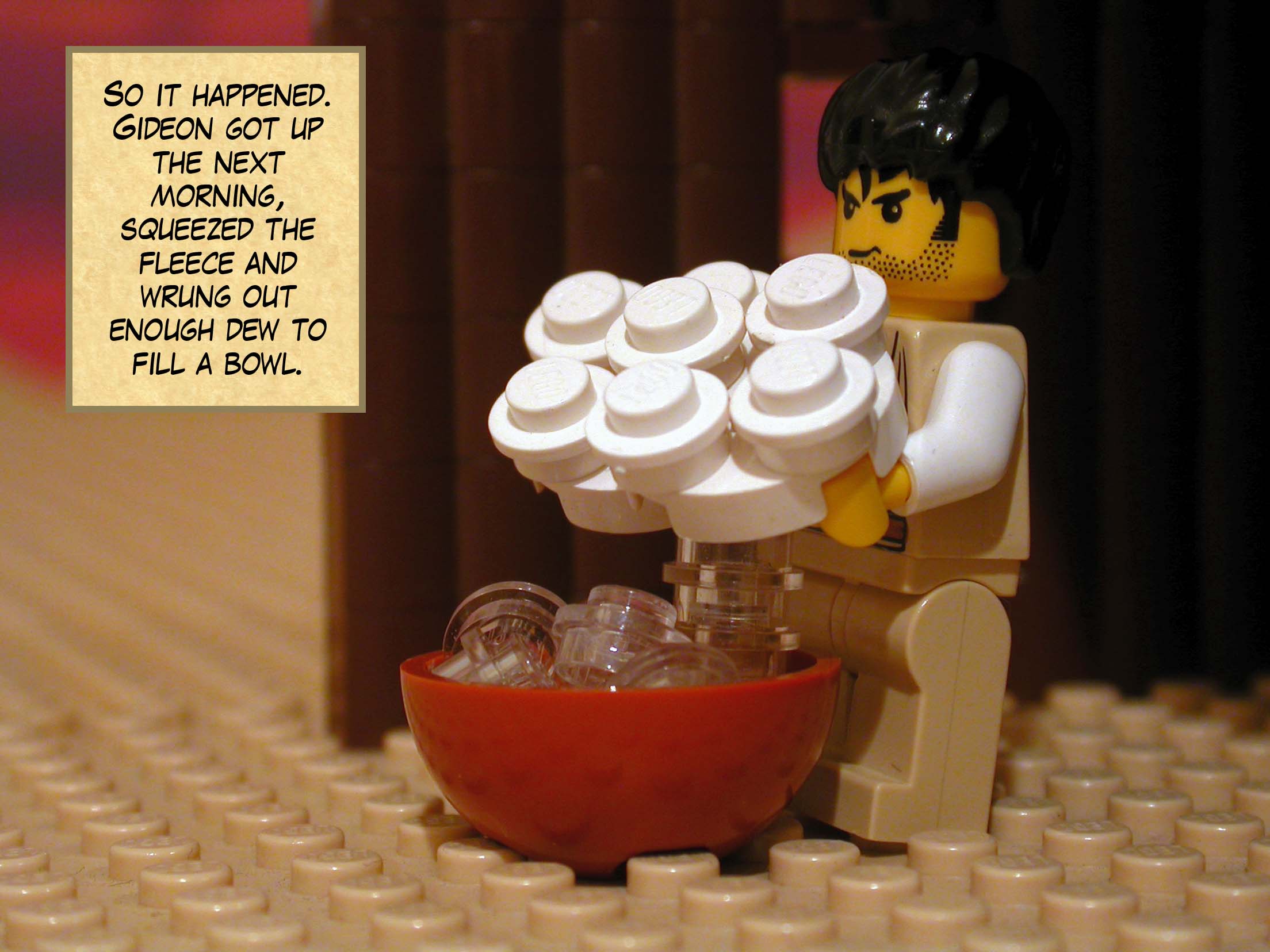 So it happened. Gideon got up the next morning, squeezed the fleece and wrung out enough dew to fill a bowl.