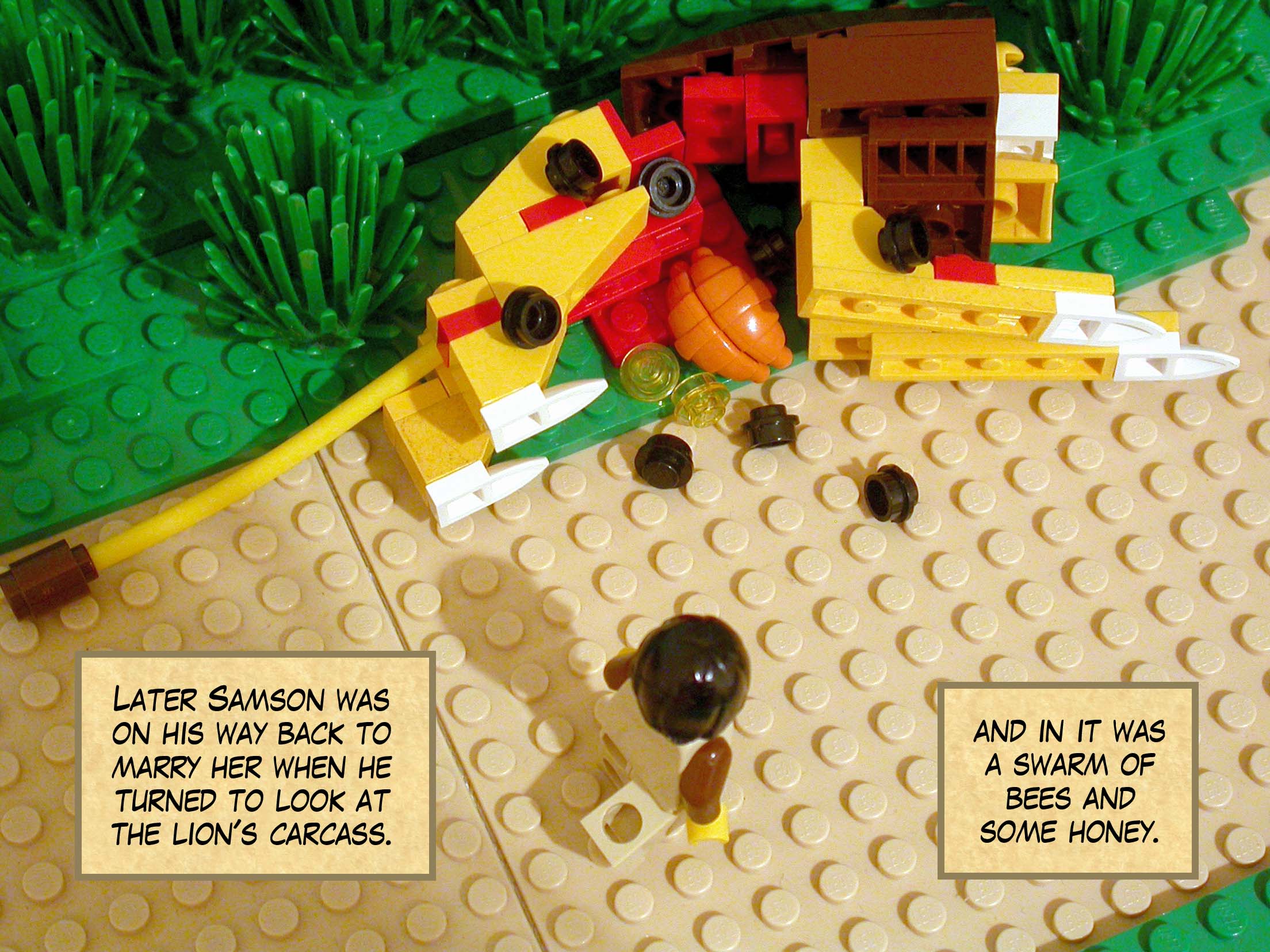 Later Samson was on his way back to marry her when he turned to look at the lion's carcass, and in it was a swarm of bees and some honey.