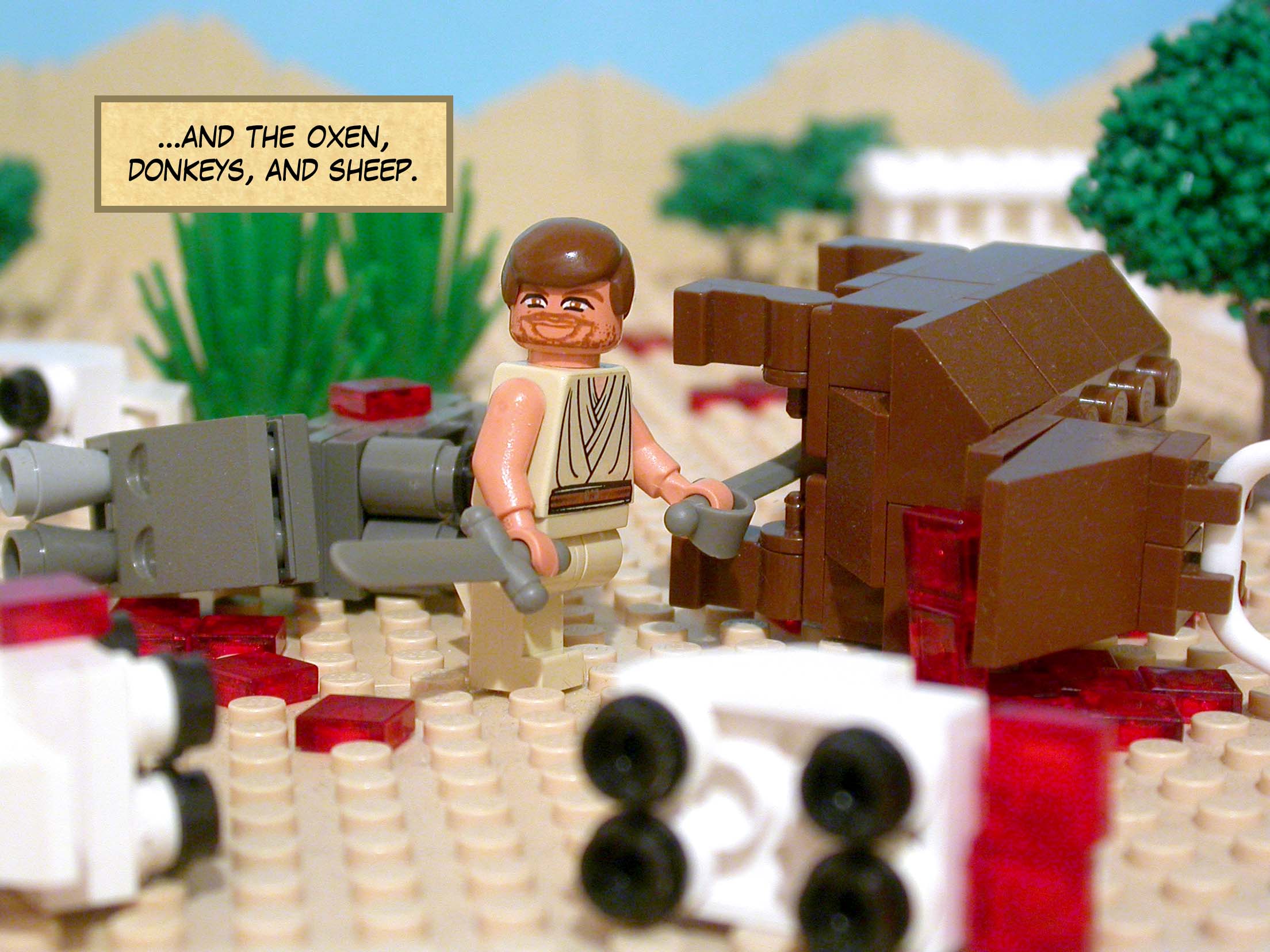 ...and the oxen, donkeys, and sheep.