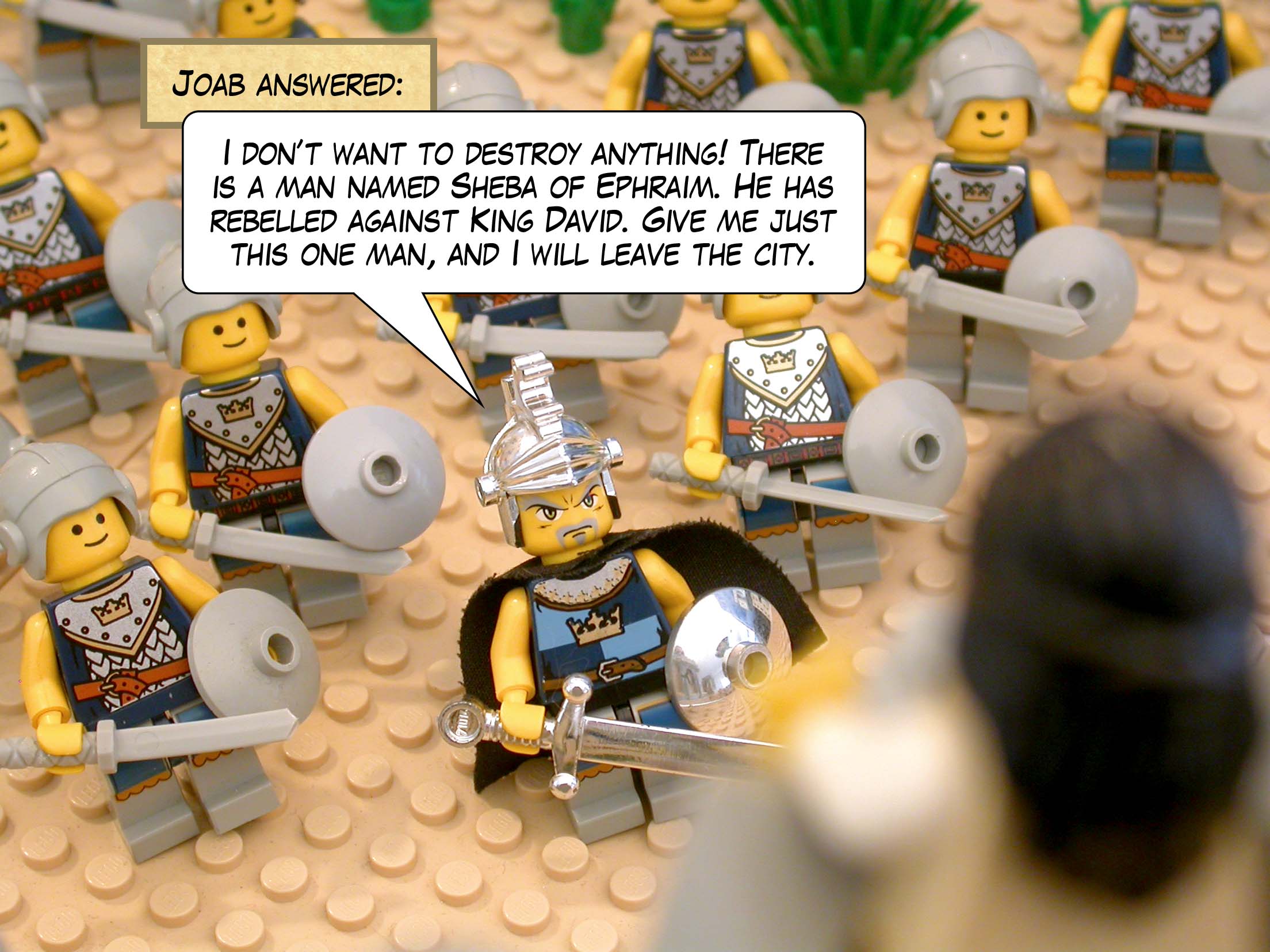 Joab answered, 'I don’t want to destroy anything! There is a man named Sheba of Ephraim. He has rebelled against King David. Give me just this one man, and I will leave the city.'