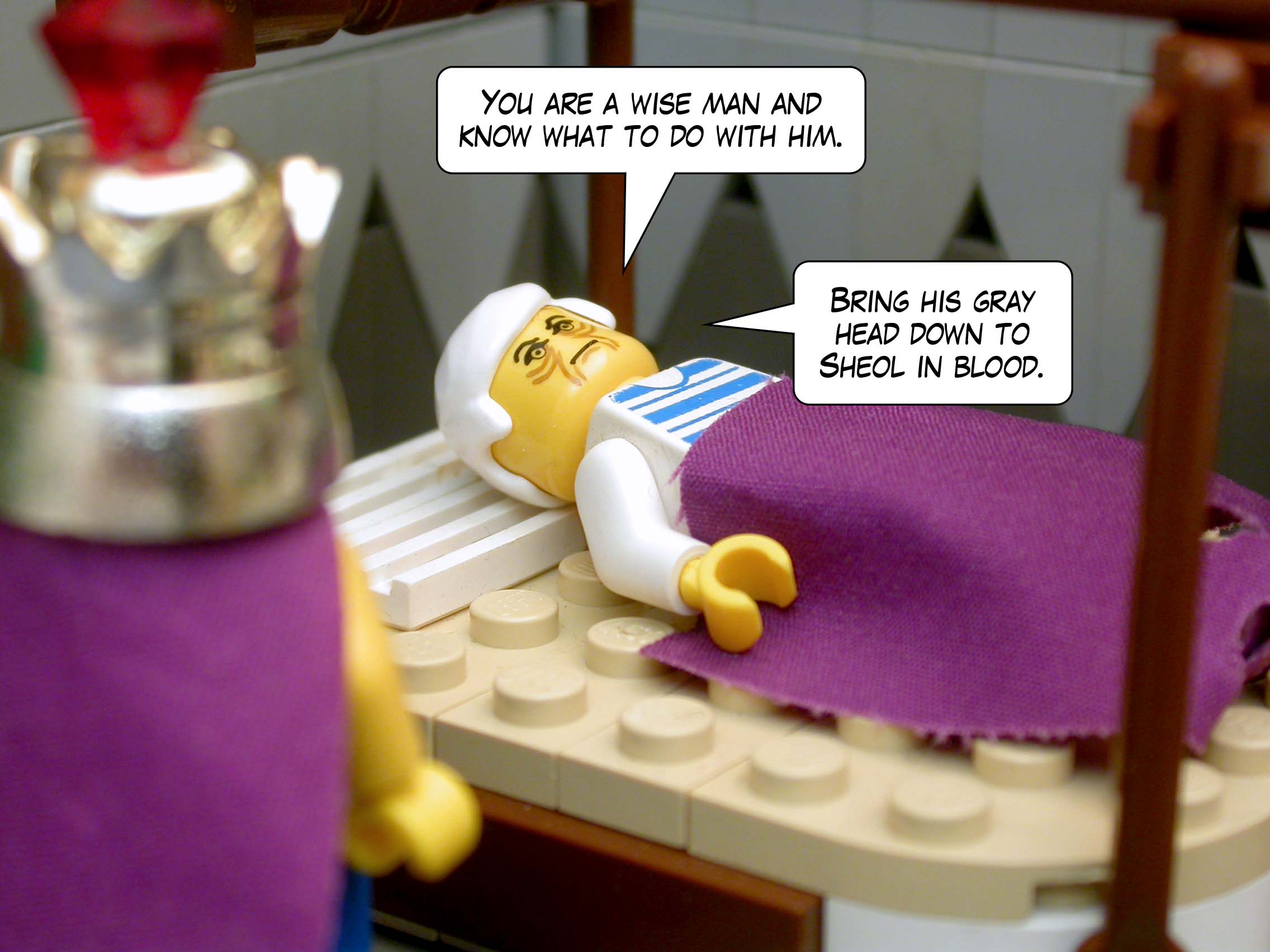 'You are a wise man and know what to do with him. Bring his gray head down to Sheol in blood.'