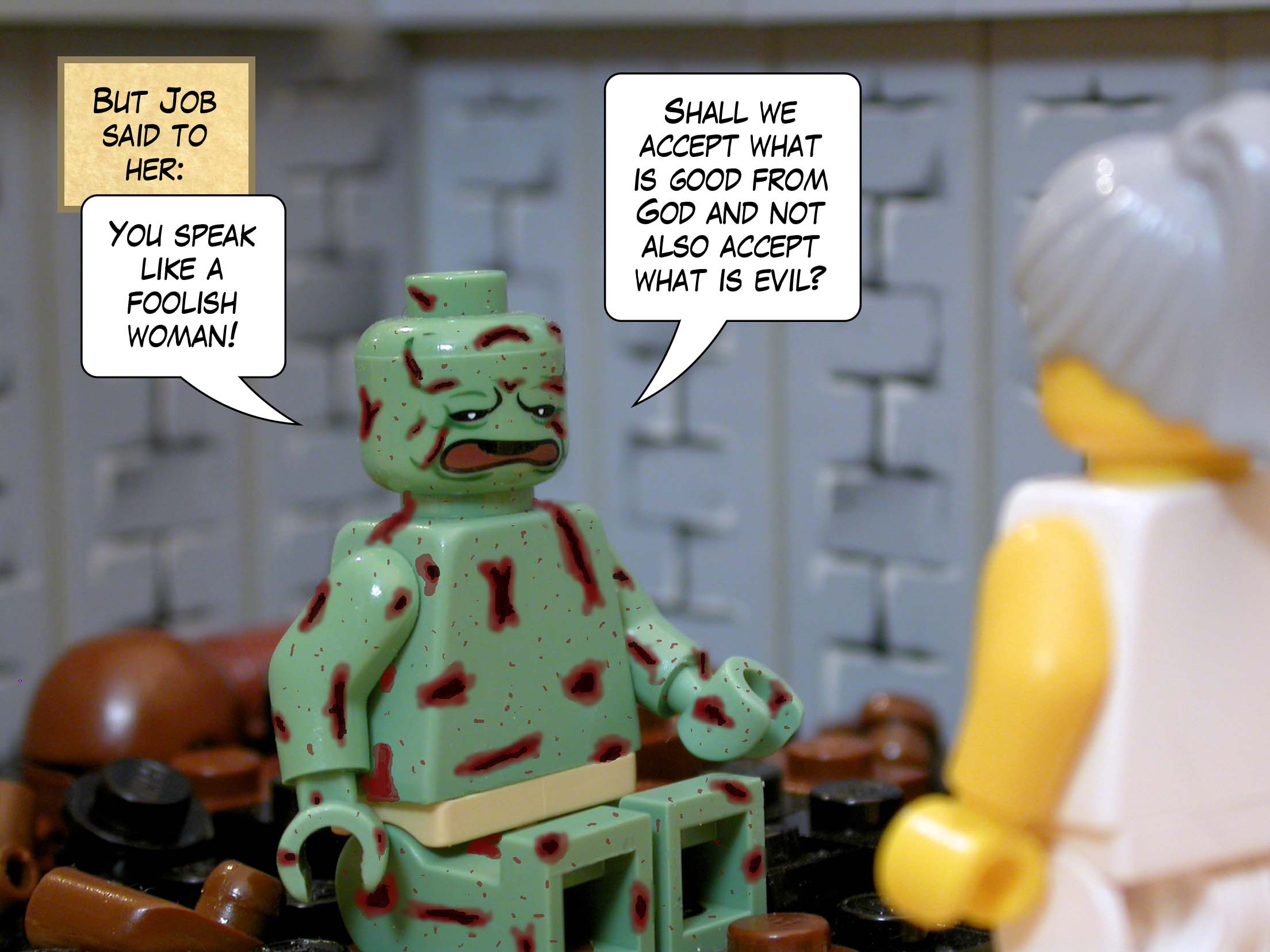 But Job said to her, 'You speak like a foolish woman! Shall we accept what is good from God and not also accept what is evil?'<br>