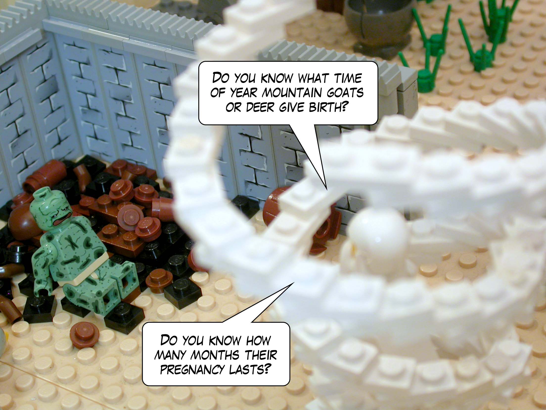 'Do you know what time of year mountain goats or deer give birth? Do you know how many months their pregnancy lasts?'<br>